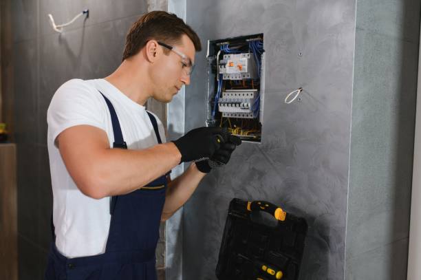 Best Electrical System Inspection  in Chickasaw, AL